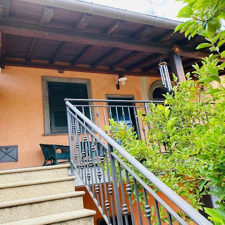 Villa Mariposa Nettuno Exteriér fotografie