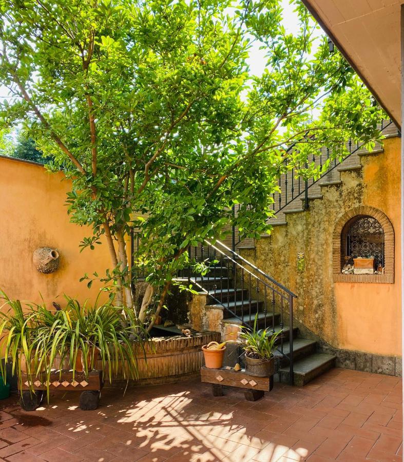 Villa Mariposa Nettuno Exteriér fotografie