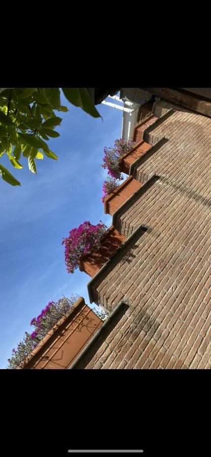 Villa Mariposa Nettuno Exteriér fotografie