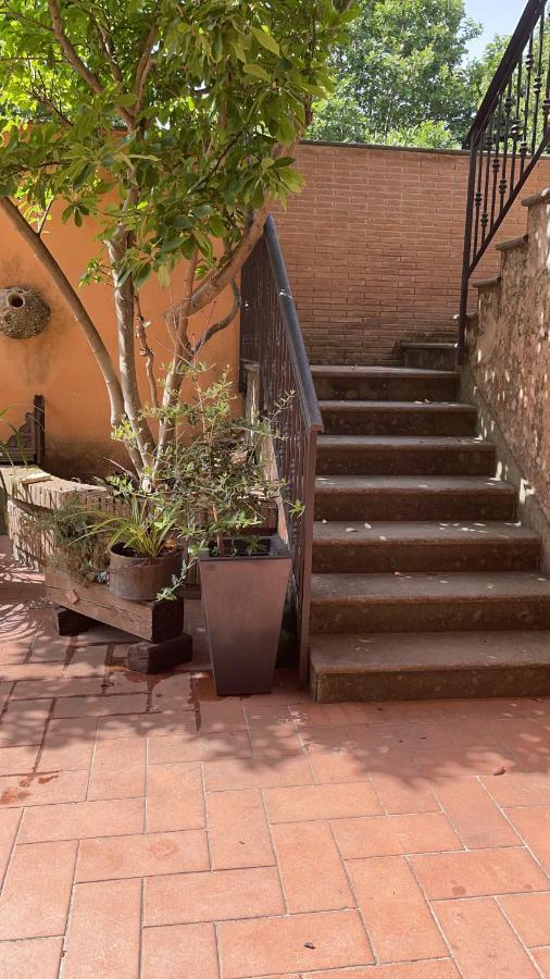 Villa Mariposa Nettuno Exteriér fotografie