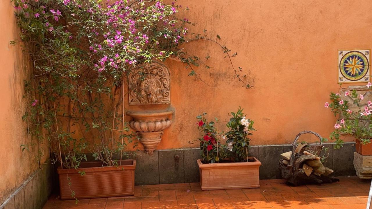 Villa Mariposa Nettuno Exteriér fotografie